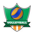 Volleyball logo icon vector illustration