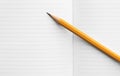 Simple orange pencil on a spread of blank pages of a school notebook, concept back to school, composition book on background for Royalty Free Stock Photo