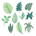 Simple ornamental leaves isolated. Vector.