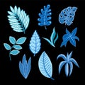 Simple ornamental leaves isolated. Vector.