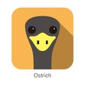 Simple ostrich flat icon design vector illustration