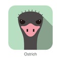 Simple ostrich flat icon design vector illustration