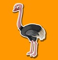 A simple ostrich sticker