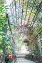 Simple outdoor bamboo arch into the garden