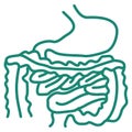 Simple outline modern turquoise human digestive system icon