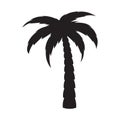 Simple Palm Tree Silhouette. Vector