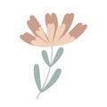 Simple pastel-colored flower in flat style vector illustration, symbol of spring, cozy home, spring Easter holidays celebration de