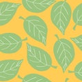Simple pattern with green leaves. Bright print for printing on clothing, textiles, wallpaper, website design and other products Royalty Free Stock Photo