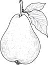 Simple pear line drawing Royalty Free Stock Photo