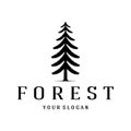 simple pine or fir tree logo,evergreen.for pine forest,adventurers,camping,nature,badges and business.vector