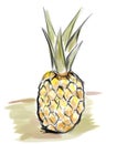 Simple pineapple