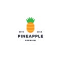Simple pineapple logo with flat style design Royalty Free Stock Photo