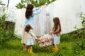 Simple Pleasures: Pre-schoolers engage in a playful escapade among sun-drenched sheets, showcasing the authentic joys of