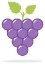 Simple purple grape cluster with green leaves and stem Royalty Free Stock Photo