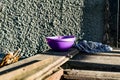 A simple purple plastic plate, outdoor tableware for feeding animals, cats and dogs, stands on dusty wooden planks