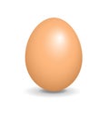 Simple realistic brown egg, vector illustration