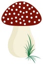 Simple Red Amanita Fly Agaric Mushroom with grass as Vector. Royalty Free Stock Photo