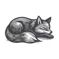Red Fox Sleeping Vintage Retro Logo Vector Icon Illustration Design. Royalty Free Stock Photo