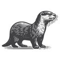 River Otter Side View Vintage Retro Icon Logo Illustration. Royalty Free Stock Photo