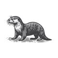 Simple river otter side view vintage retro vector logo design. Royalty Free Stock Photo
