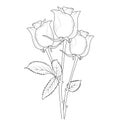 simple rose outline, realistic rose outline, line drawing the realistic rose outline, rose drawing tattoo design