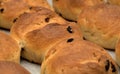 Simple round home made sweet buns with raisins