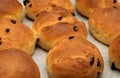 Simple round home made sweet buns with raisins