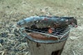 Simple rural cooking with bbq fresh water fish Royalty Free Stock Photo