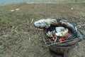 Simple rural cooking with bbq fresh water fish Royalty Free Stock Photo