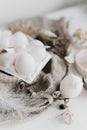 Simple rural Easter aesthetics. Natural eggs in tray, feathers, willow branches, nest on burlap on rustic white wooden table.