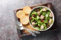 Simple salad of cod liver, fresh arugula and sun-dried tomatoes served with toast close-up in a bowl. Horizontal top view