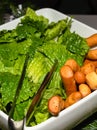 Simple salad lettuce bowl no dressing, served during brunch buffet in hotel. Bruschetta Breadstick Royalty Free Stock Photo