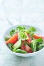 Simple Salad with Tomatoes, Cucumber and fresh Basil.