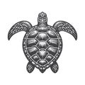 Simple Sea Turtle Front View Vector Icon Vintage Retro Logo Illustration. Royalty Free Stock Photo