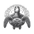 Sea Turtle Front View Vintage Vector Icon Design. Royalty Free Stock Photo