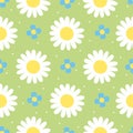 Simple seamless pattern with daisies and forget-me-nots. Vector graphics
