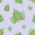 Simple seamless pattern with green mimosa leaves on a light lilac background