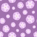 Simple Seamless Pattern with Pink Ipomoea Flowers. Royalty Free Stock Photo