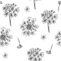 Simple seamless pattern with Realistic Botanical ink sketch ginseng flowers solated on white, floral herbs collection Royalty Free Stock Photo