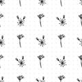 Simple seamless pattern with Realistic Botanical ink sketch ginseng flowers solated on white, floral herbs collection Royalty Free Stock Photo