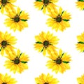 A simple seamless pattern of watercolor yellow sunflowers stacked on top of each other on a white background. simple summer Royalty Free Stock Photo