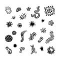 Simple set of bacteria virus vector icons for web design Royalty Free Stock Photo