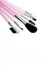 A simple set of cosmetic applicators