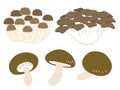 Simple shimeji, maitake, and shiitake mushroom illustrations Royalty Free Stock Photo