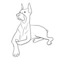 Simple silhouette of a lying doberman Royalty Free Stock Photo