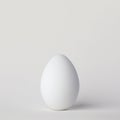Simple single white chicken egg