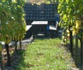 Simple sitting area for a snack break in the vineyard 2 Royalty Free Stock Photo