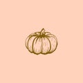 Simple sketch of chunky pumpkin on pastel pink background. Hand-drawn vector illustration Royalty Free Stock Photo