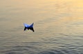 Simple small white origami paper boat floating quietly in blue clear river or sea water under bright summer sky. Royalty Free Stock Photo