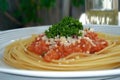 Simple spaghetti dish with tomato sauce and parsley, background left blank for adding message Royalty Free Stock Photo